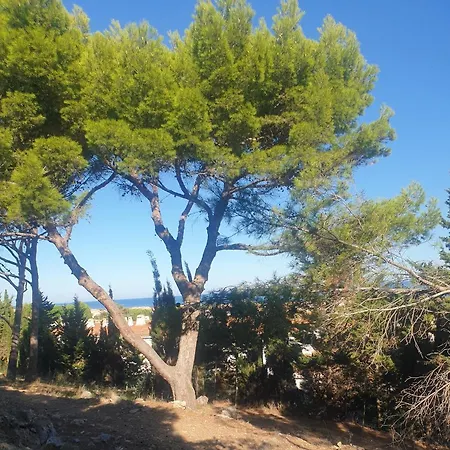 T2 Vue Avec Parking Prive * Saint-Pierre-la-Mer (Aude)