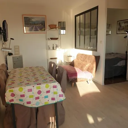 T2 Vue Avec Parking Prive Apartment
